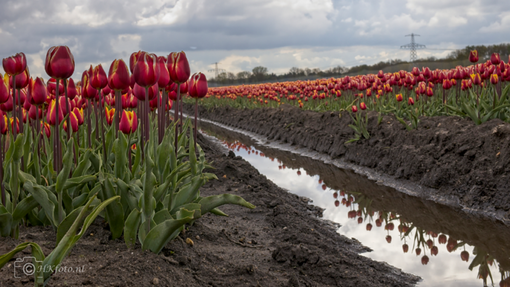 Ze trokken groene provincie in FotoSlag20220501
