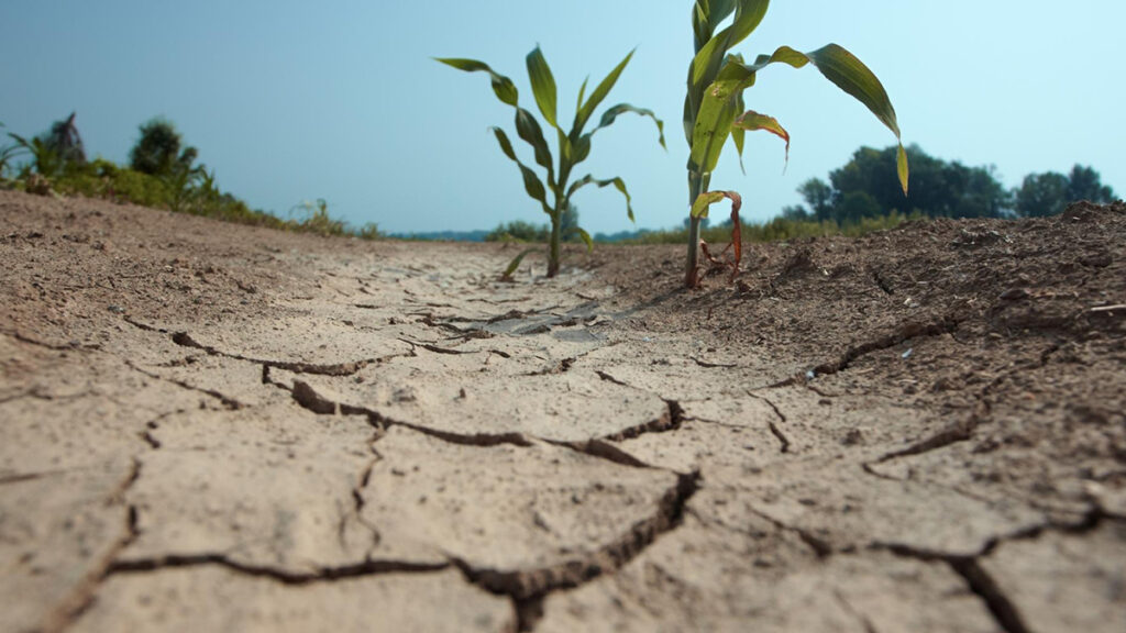 Onttrekkingsverbod voor water uit openbare vijvers waar geen wateraanvoer mogelijk is Vechtstromen20230630