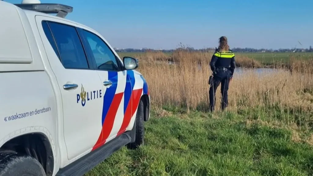 Verwaarloosde paarden Dedemsvaart zorgen voor woede Verwaarloosde paarden Dedemsvaart zorgen voor woede