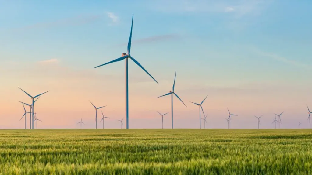 Nul windturbines in Hardenberg: ‘Handdoekje leggen’ Nul windturbines in Hardenberg: 'Handdoekje leggen'