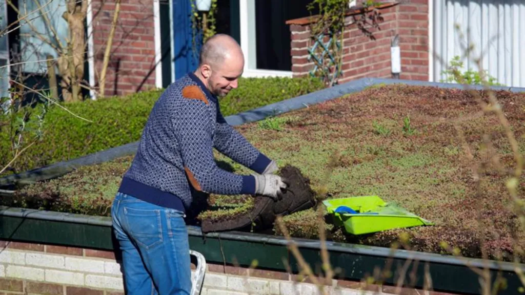 Hardenberg maakt vergroenen makkelijker en goedkoper Hardenberg maakt vergroenen makkelijker en goedkoper