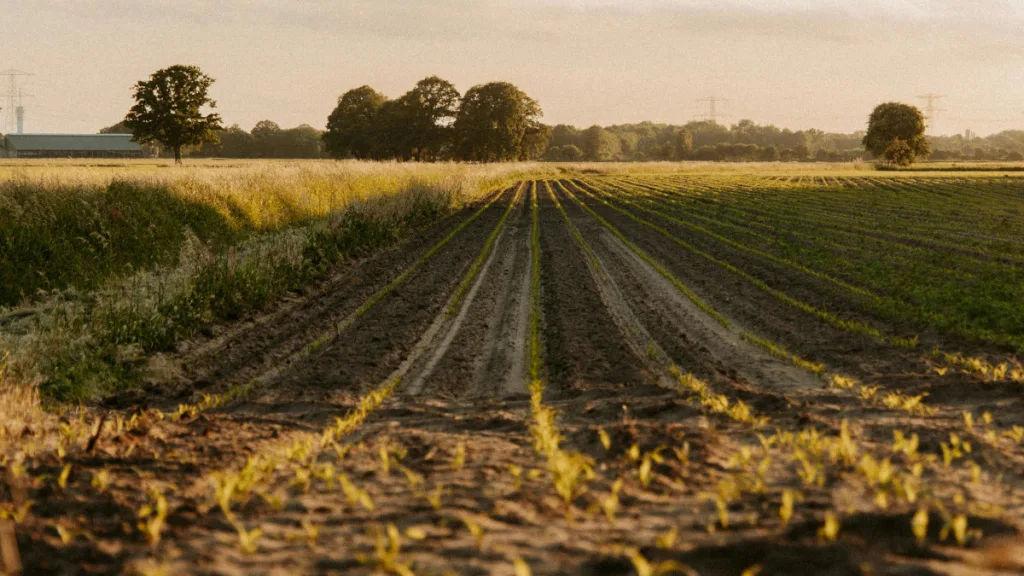 Hardenberg steunt vier innovatieve landbouwprojecten Hardenberg steunt vier innovatieve landbouwprojecten