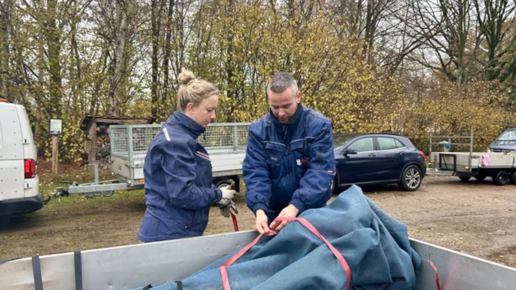 Boomdeeldag: 75% korting op bomen en struiken
