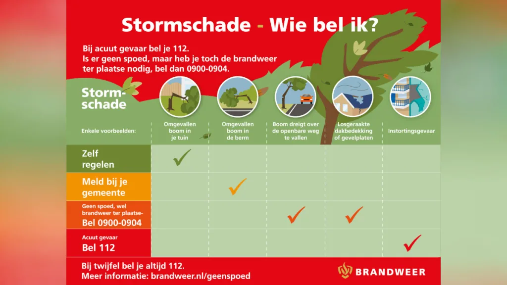 Noodweer: 12 schademeldingen in gemeente Hardenberg Noodweer: 12 schademeldingen in gemeente Hardenberg