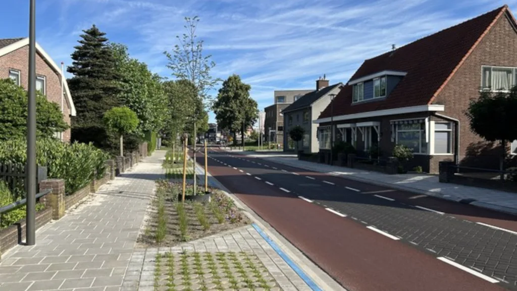 Al 33.000 tegels gewipt in Hardenberg: doe ook mee! Al 33.000 tegels gewipt in Hardenberg: doe ook mee!